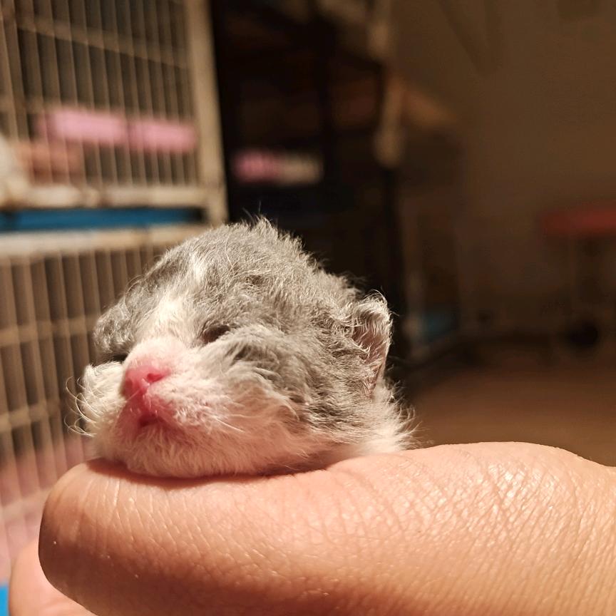 ꧁不负꧔ꦿ℘᭄ᩚ꯭ᩚ遇见꧂