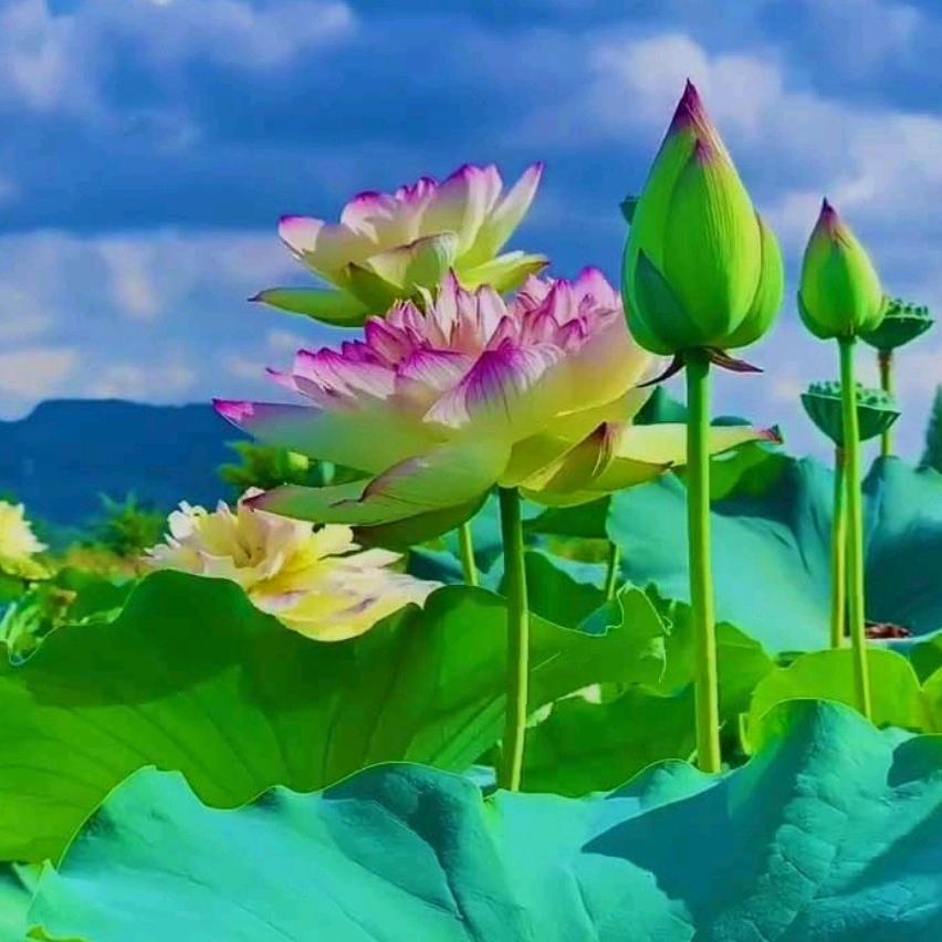 贵～持之以恒