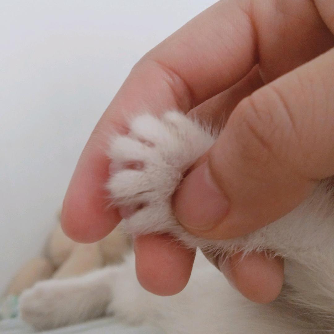 自由生长
