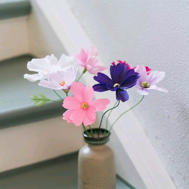 ོ⁵²⁰”黄͜❀҉࿐