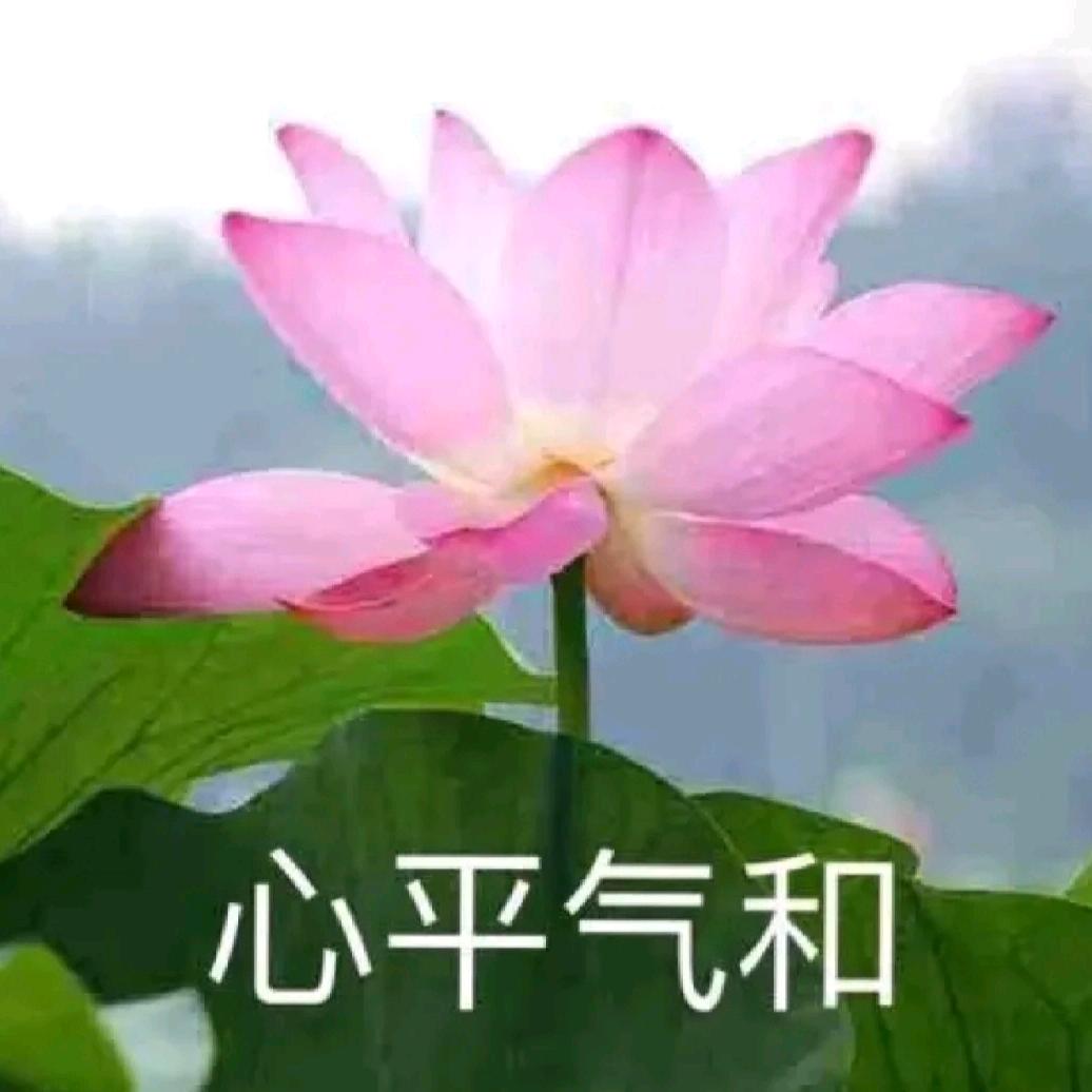 永远快乐