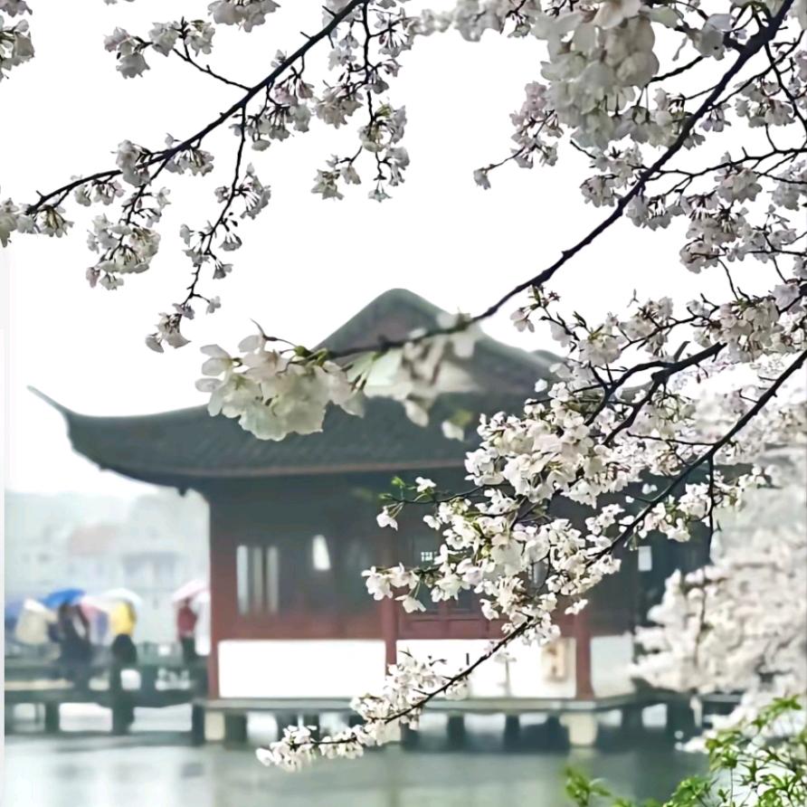 刘从云