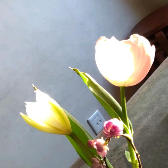 一通书法教育分享618