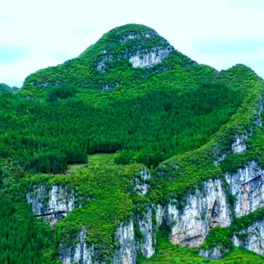 关东布衣