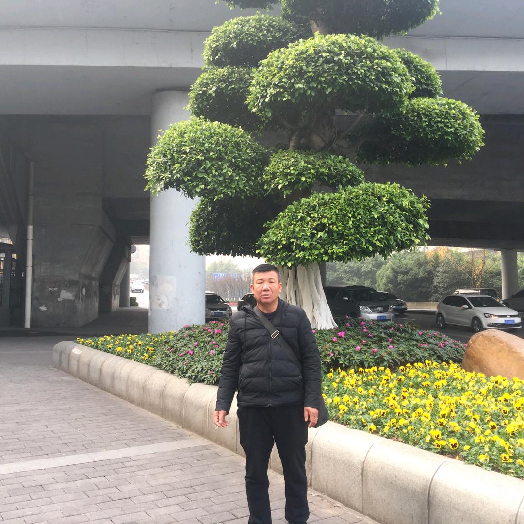 张建文