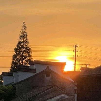 向阳☀️