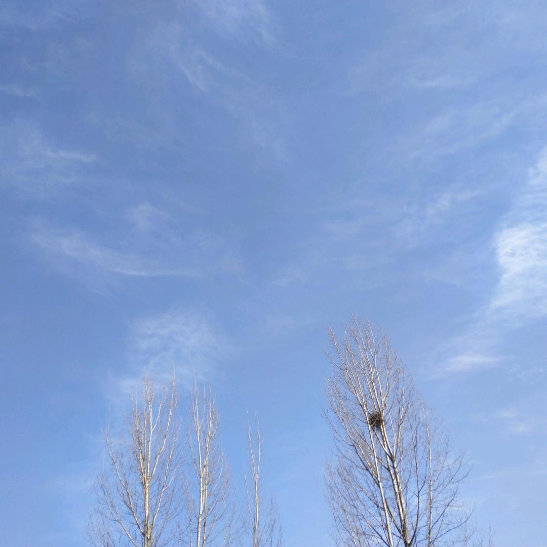夏
