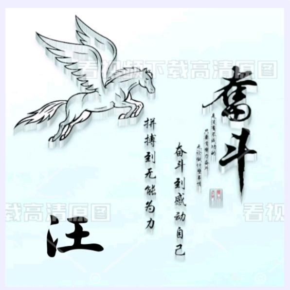 衣哥
