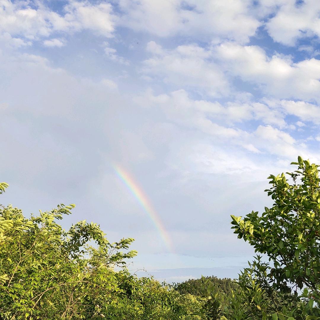 <&ÿÿ5@>远方<&ÿÿ5@