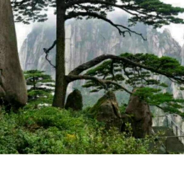 阳光灿烂