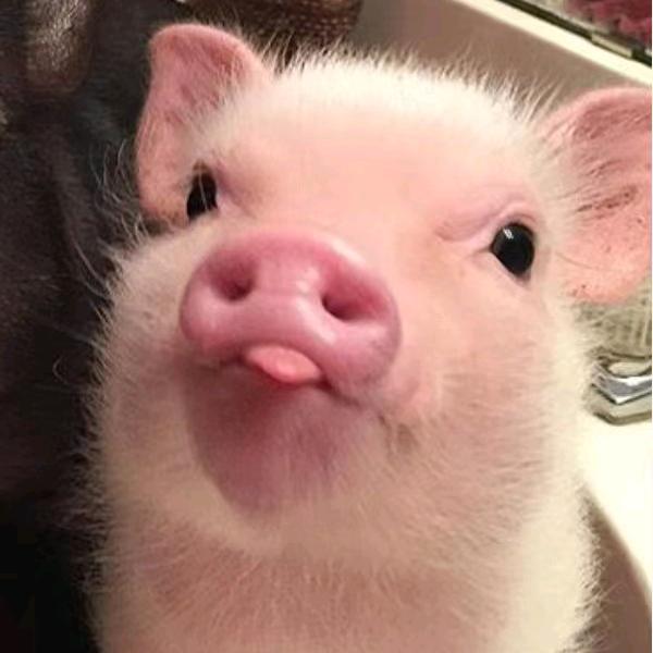 海南运安急救中心