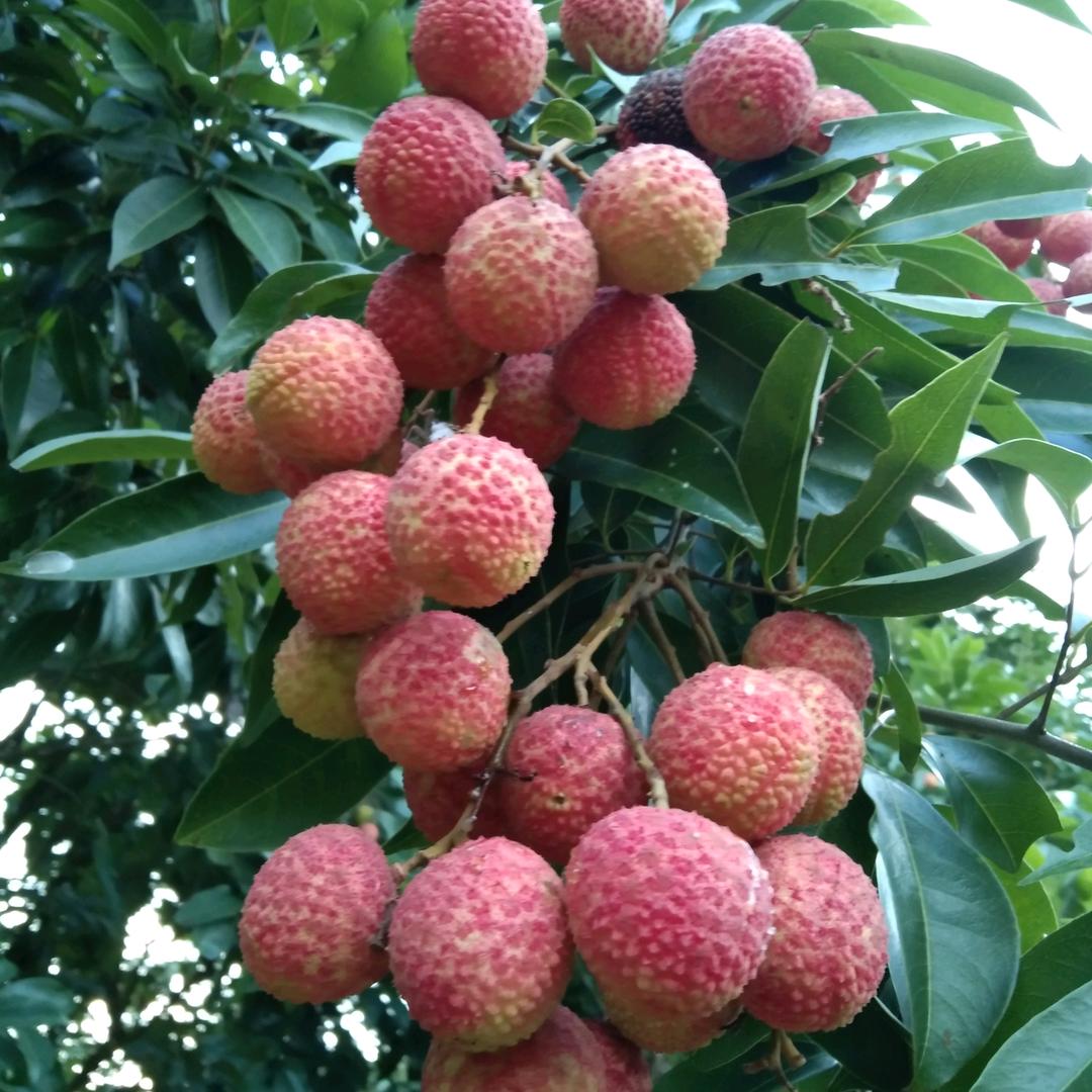开心的每一天