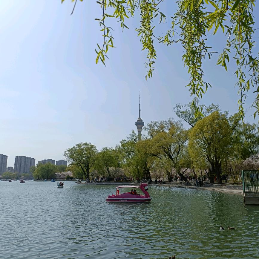 刘老师升学规划