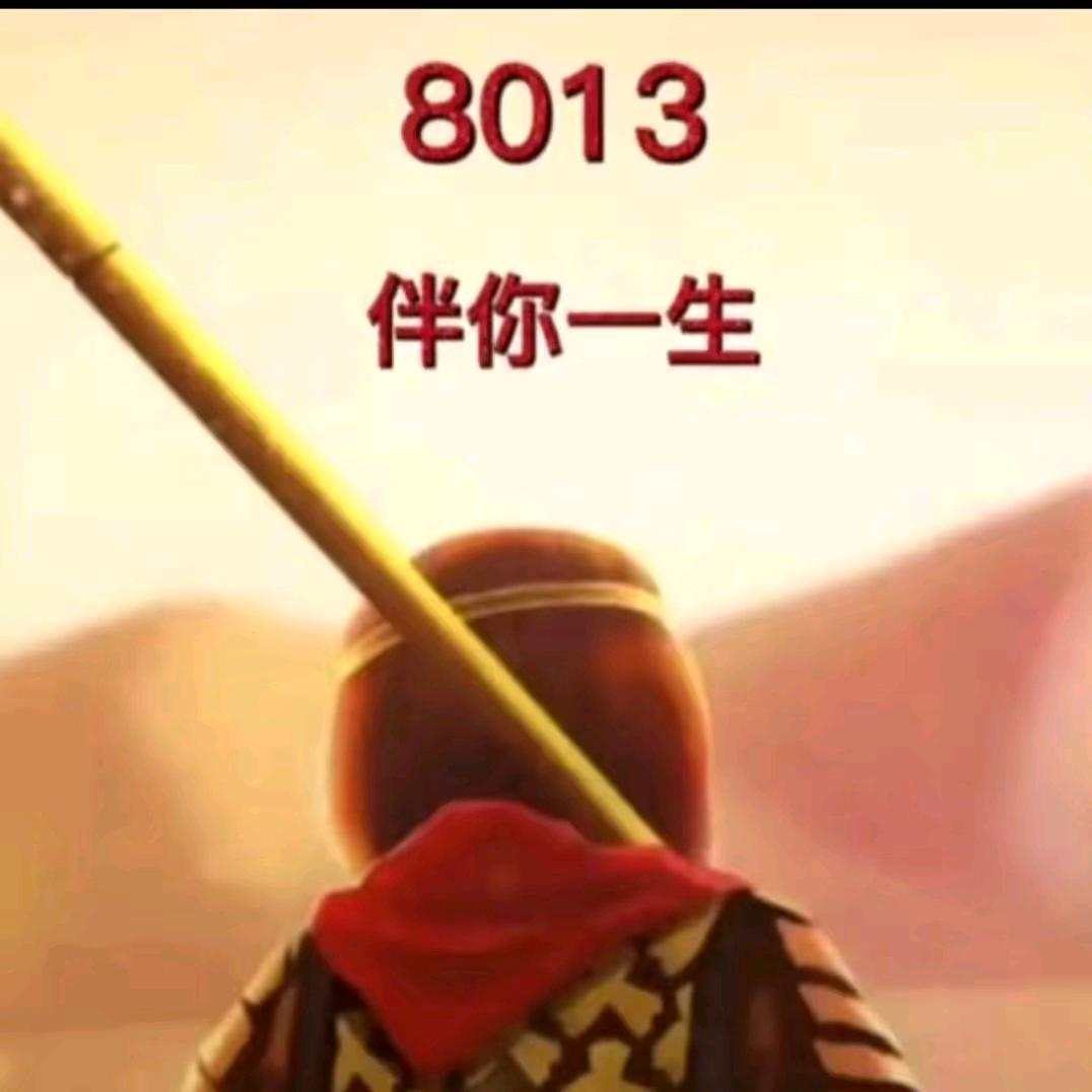 大张小章（8013）