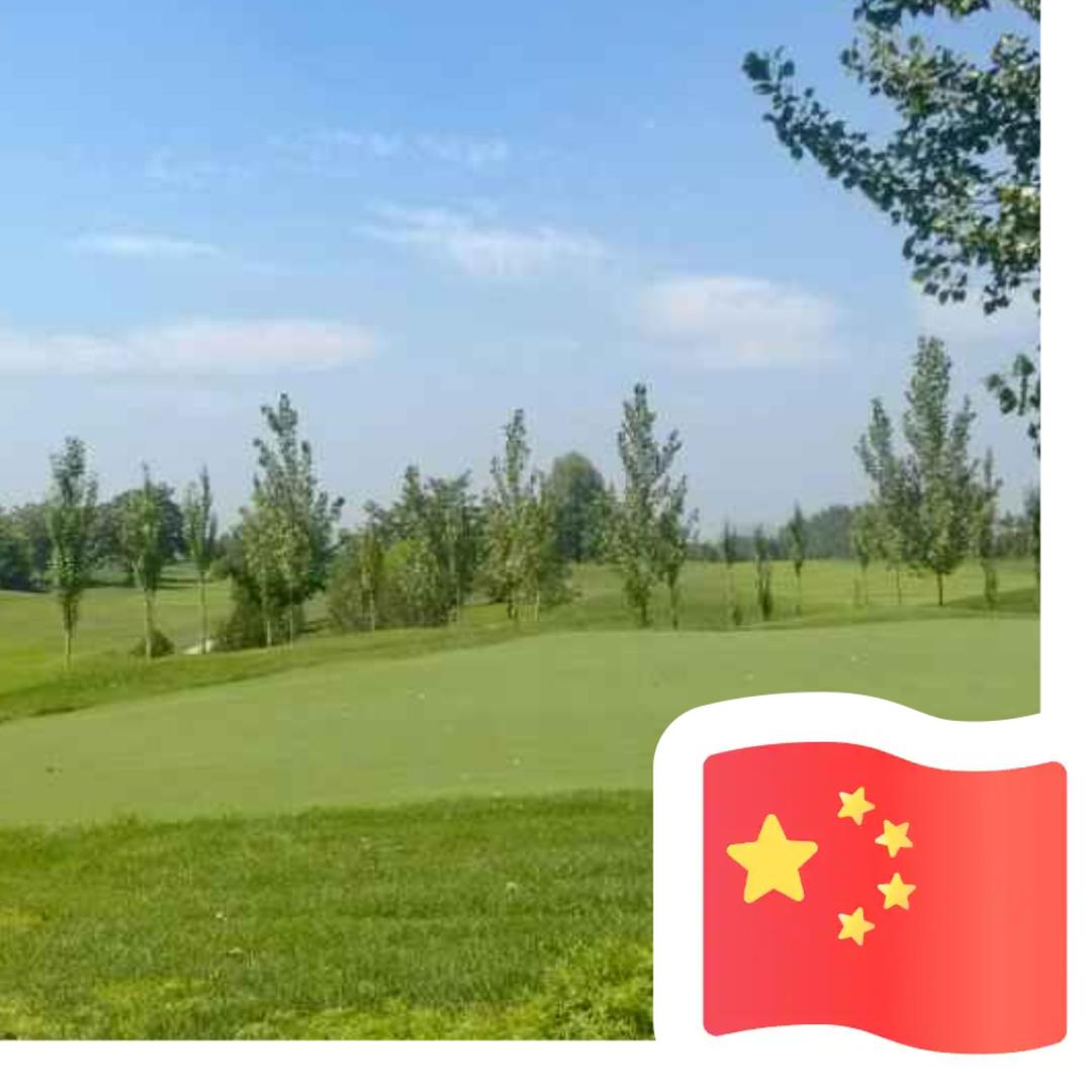 a风和日丽