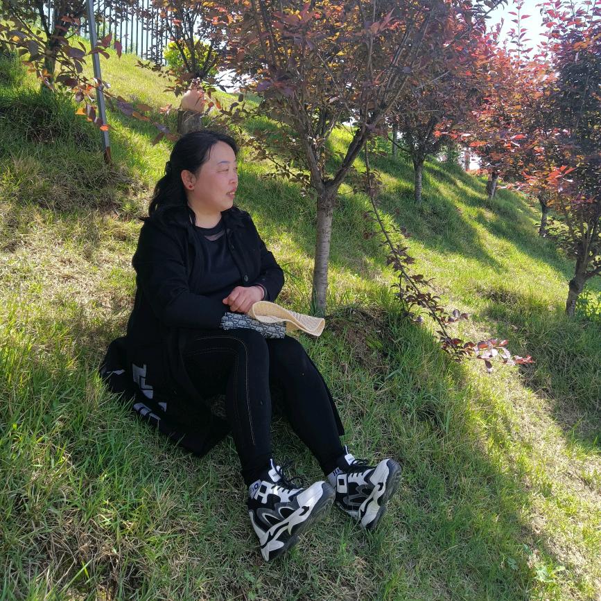 陕北你大姐
