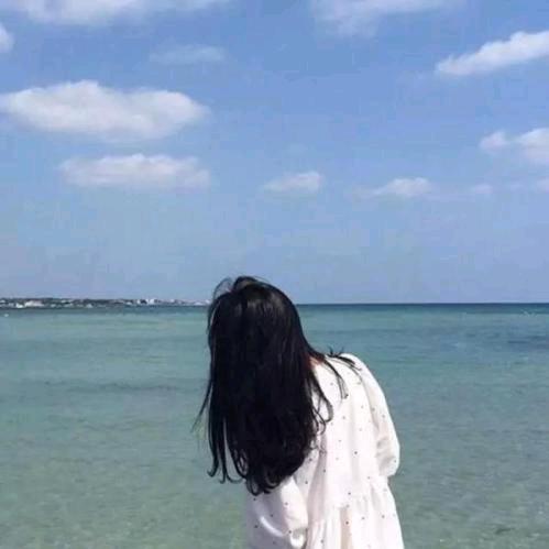 蓝色蔷薇