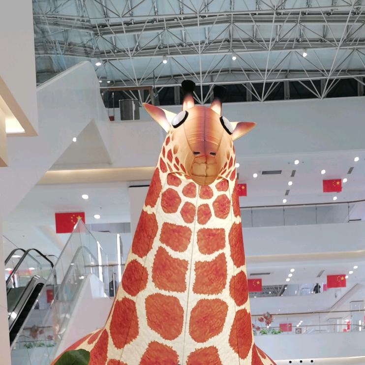 🫶莫忘初心🫶