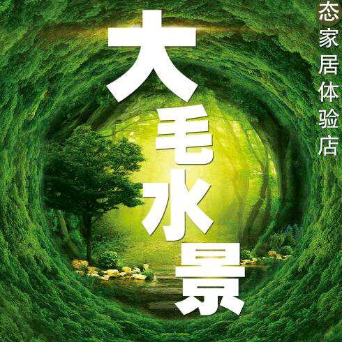 天津大毛水景