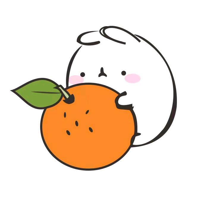 觅橘苏州高诺服饰有限公司运动户外专卖店