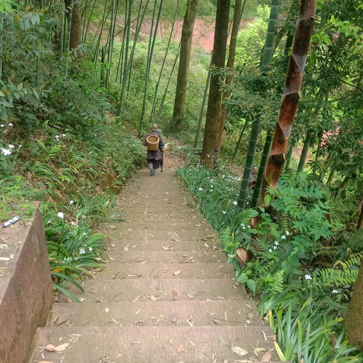 伤心总是难免的