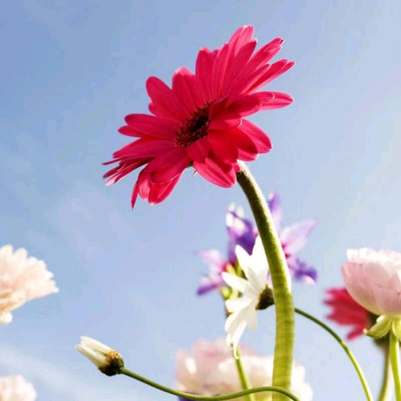 大新淮海爱玛店