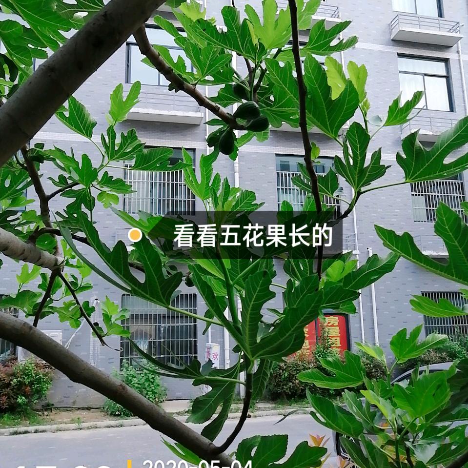 健身运动