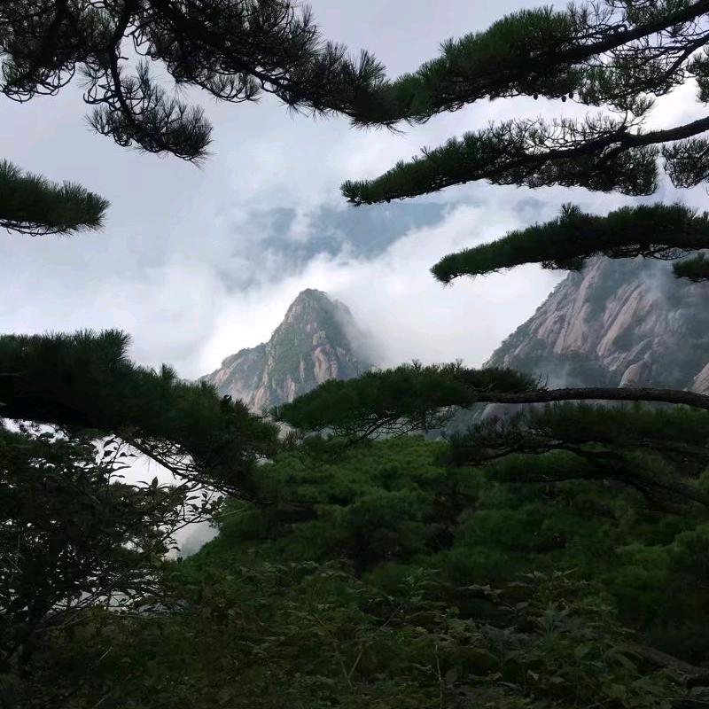 慎始敬终借东风