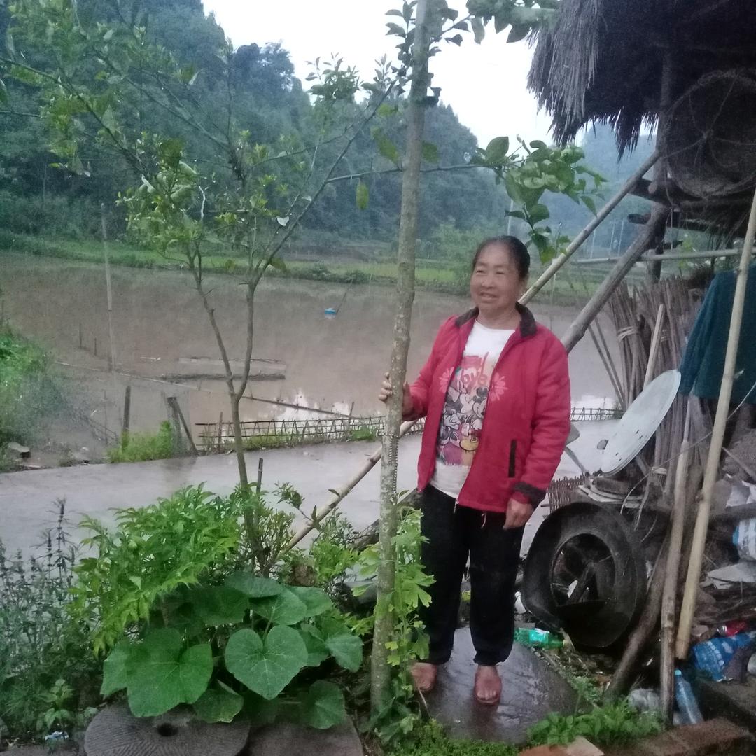 谢正秀
