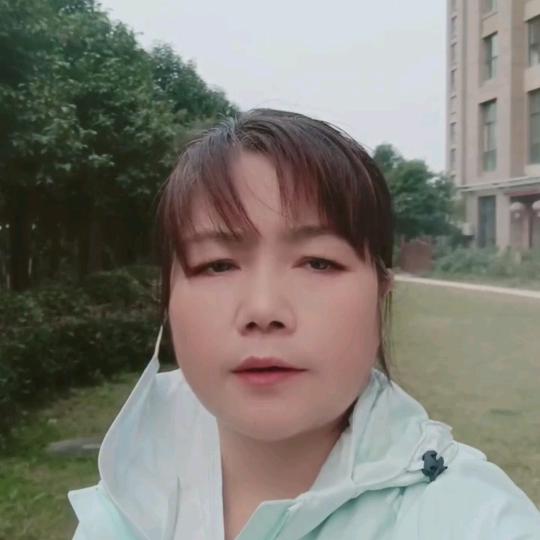红豆杉