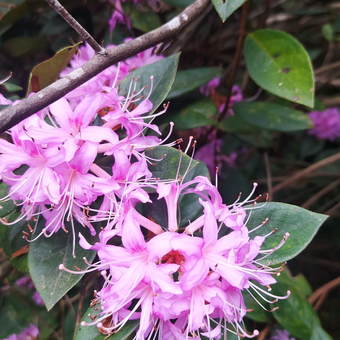 盼星星⭐️盼月亮🌙