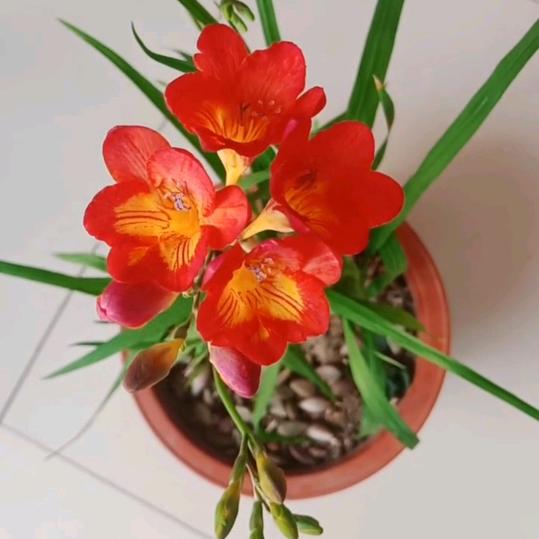 一丝阳光