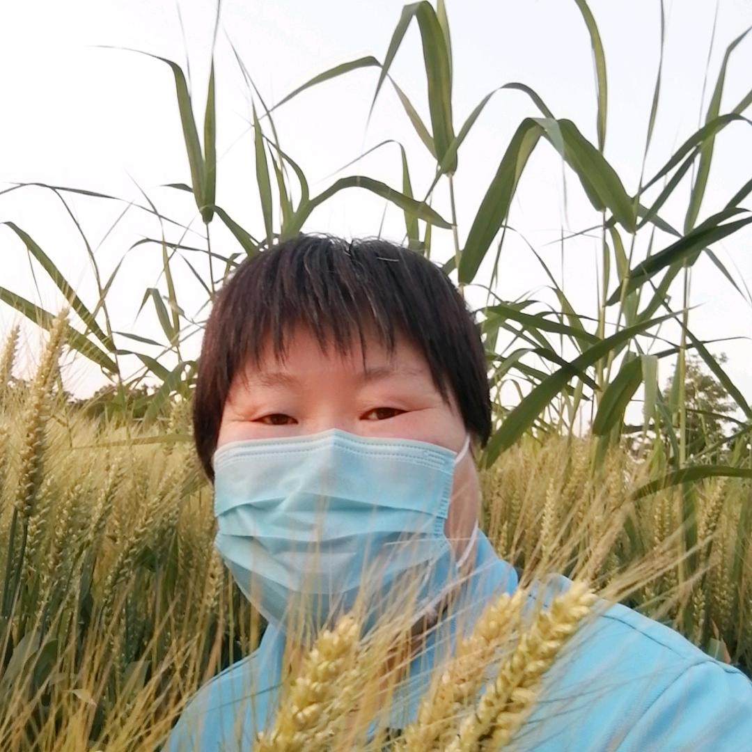 勤劳的小蜜蜂🐝🐝🐝