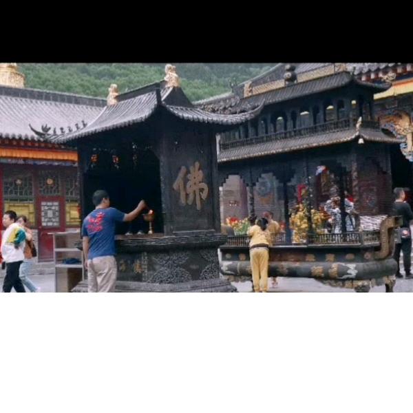 中药材