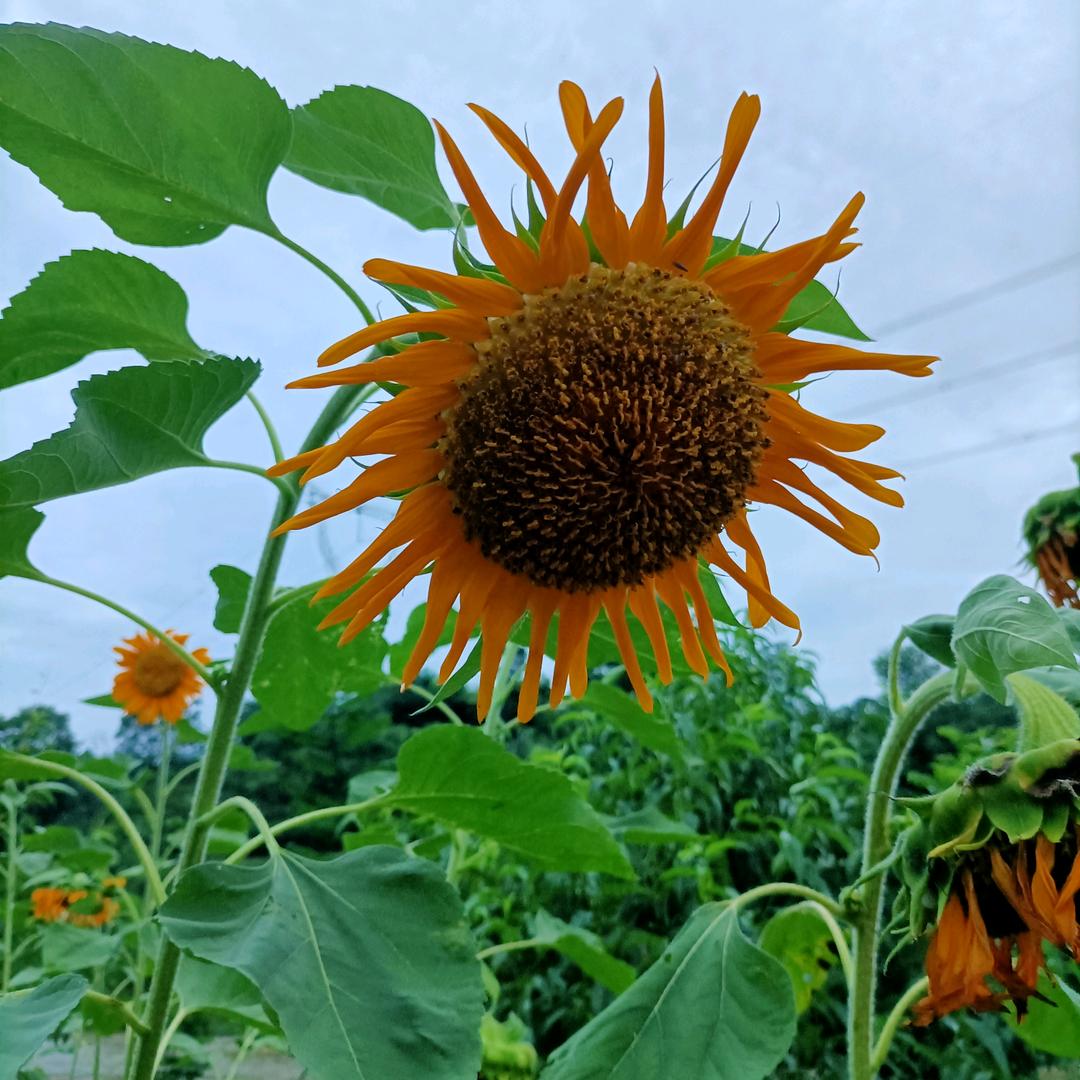 熊大❤️熊二❤️妈❤️❤️