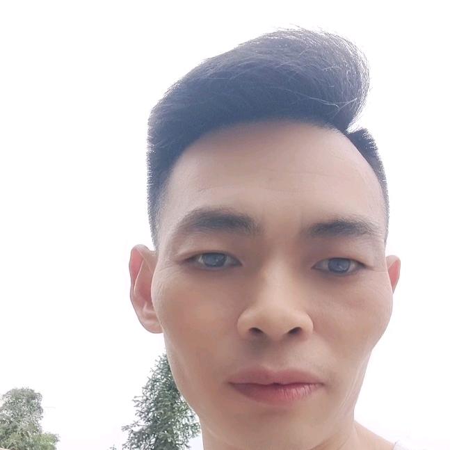 自由飞翔