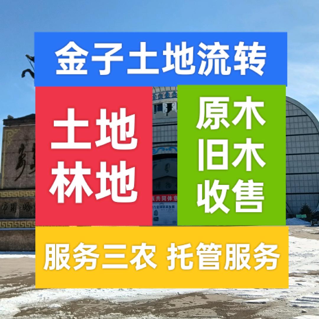 金子土地流转