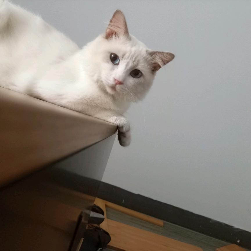 不负责的数学课代表