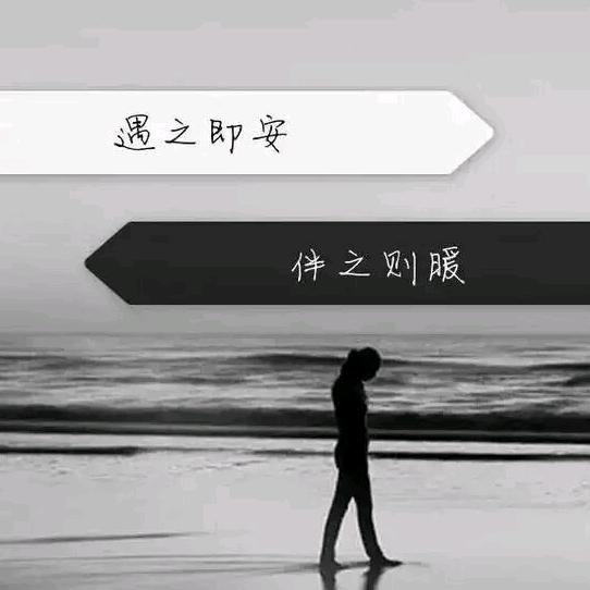 木木