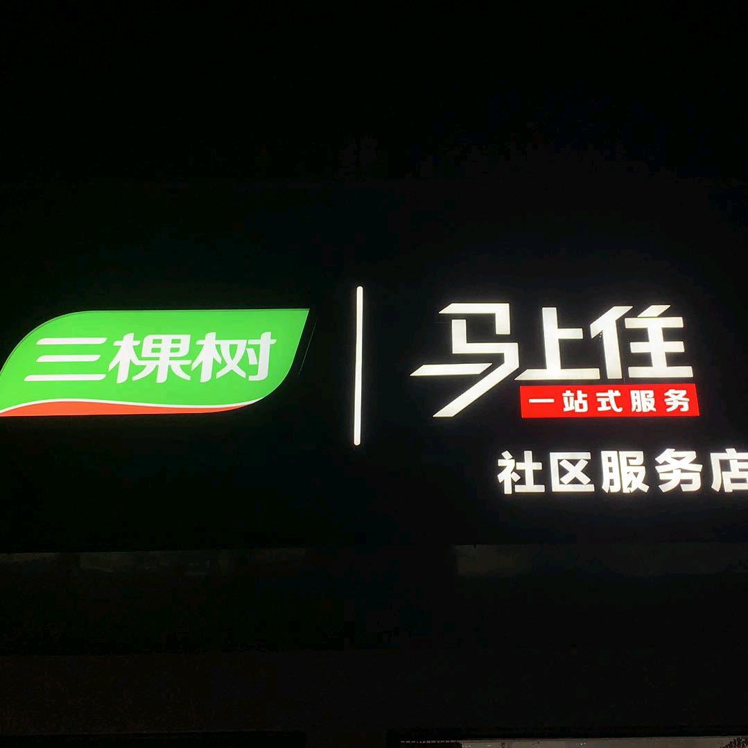 三棵树，马上住