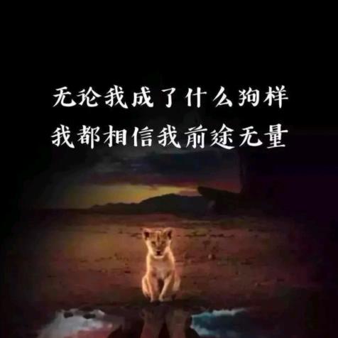 专踹瘸子那条好腿