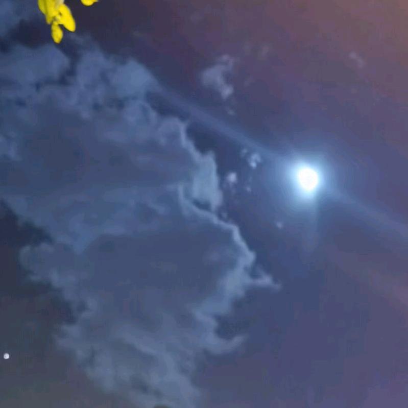 无奈的心谁懂