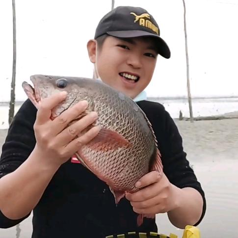 港口.海阳赶海【带你去看海】