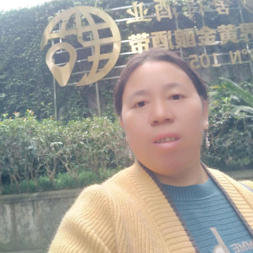 放飞理想王
