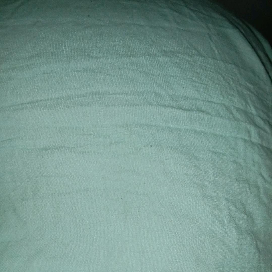 大脑壳