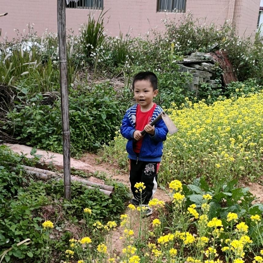 🌈忘了吧