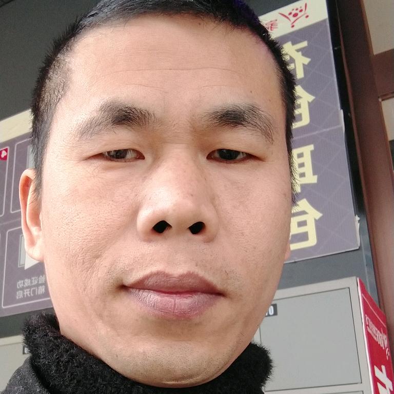 飞龙展翅