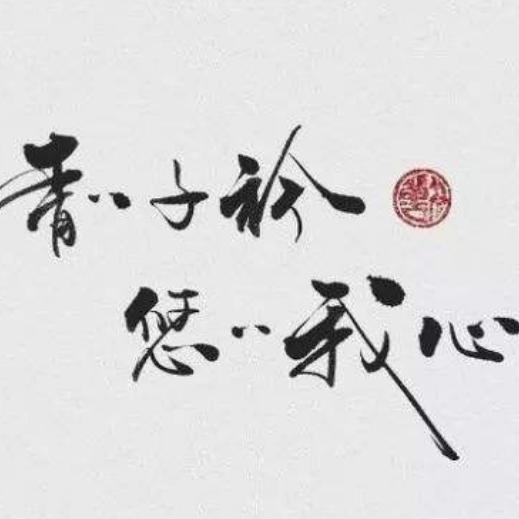 °小辰大咖