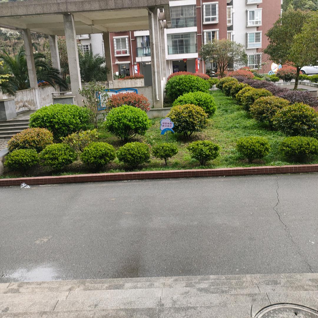 起飞好物推荐【走全球】