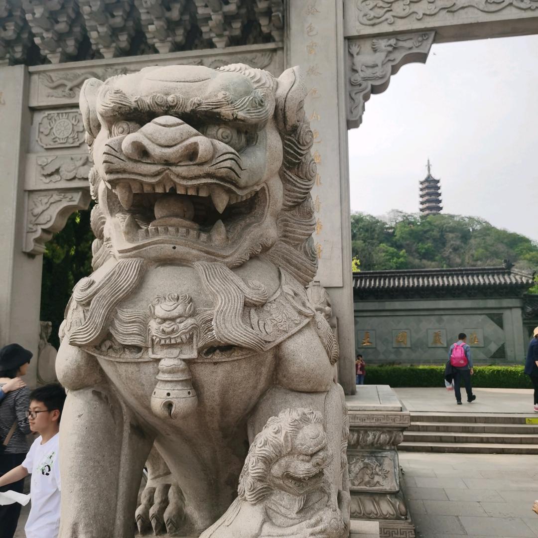 梦之蓝
